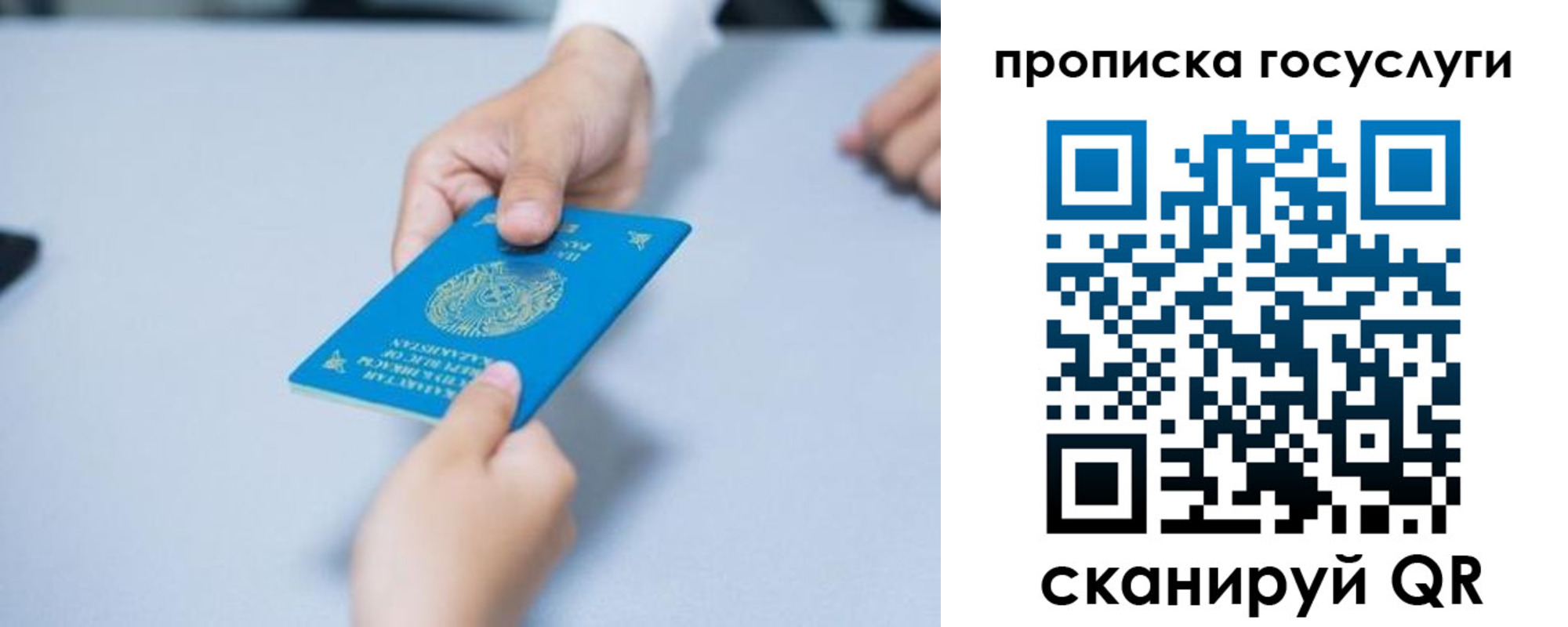 миграционный учет в Камчатской области